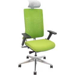 Chair Arizona X7-BH-01 green
