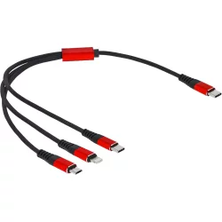 Delock Cable 3 in 1