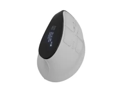 Natec Wireless Vertical Mouse Euphonie, white