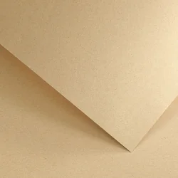 Cardboard GP Nature 220g 20p Dark Beige
