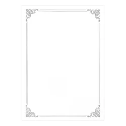 Сертификат Silver 210719 190гр 20бр