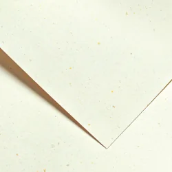 Cardboard GP Terrazzo 220g 20pcs cream