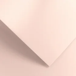 Картон GP Millennium 220гр 20бр сврозов