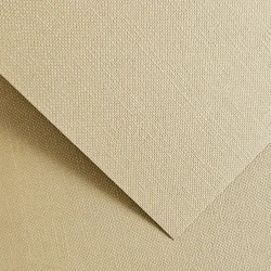 Cardboard GP Ryps 250g 20pcs light beige