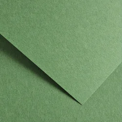 Картон GP Earth 220гр 20бр зелен