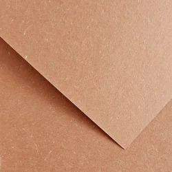 Картон GP Wood 220гр 20бр бледорозов