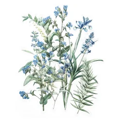 Прозрачни стикери ириси 12бр