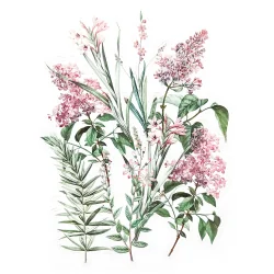 Прозрачни стикери розов кът 12бр