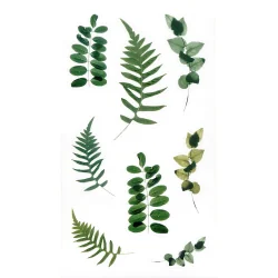 Прозрачни стикери папрат и евкалипт 38бр