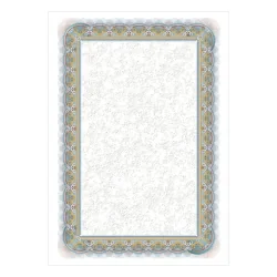 Сертификат Silver 210117 170гр 25бр