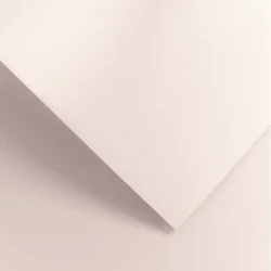 Картон GP Millennium 220гр 20бр свлилав