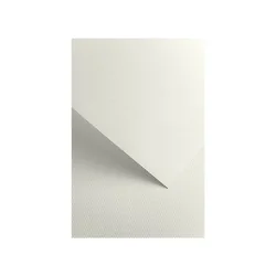 Крафт картон Florida 220гр 20бр, бял