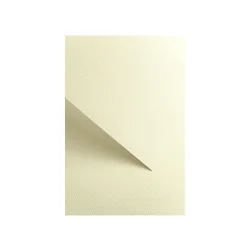 Крафт картон Florida 220гр 20бр, бежов