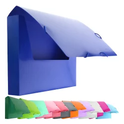Box with elastic OfBox Colorline 5cm