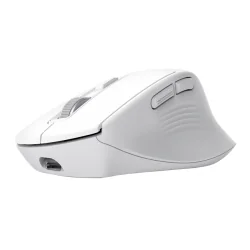 Trust Wireless mouse Niven Comfort, White