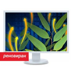 Реновиран монитор Eizo FlexScan EV2416W 24.1\